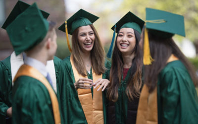Student Learning Preferences