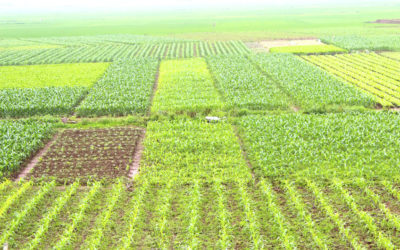 What is a field?