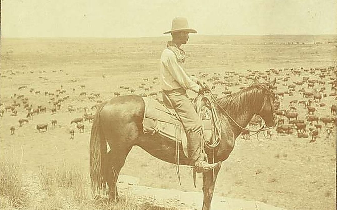 Historic photograph of a cowboy on horseback overlooking a grazing cattle herd on the open range